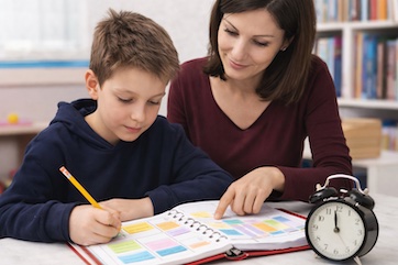 Organització i tècniques d'estudi